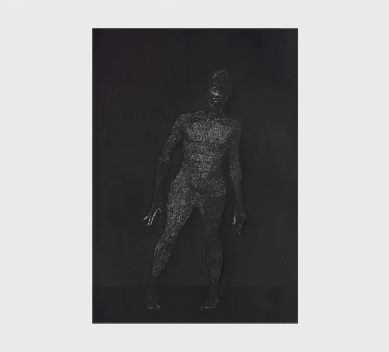 Man Frankenstein, 2010 notebook by carol shop