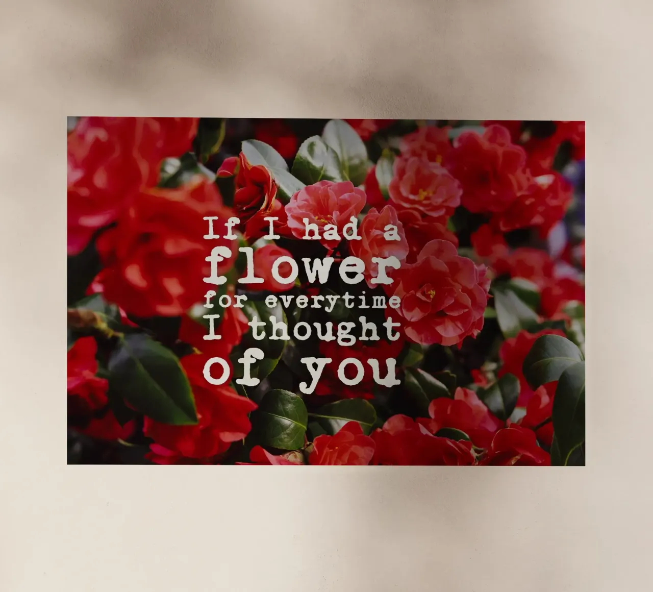 If I had a flower for everytime i though of you lámina retroiluminada de pierosvisuals