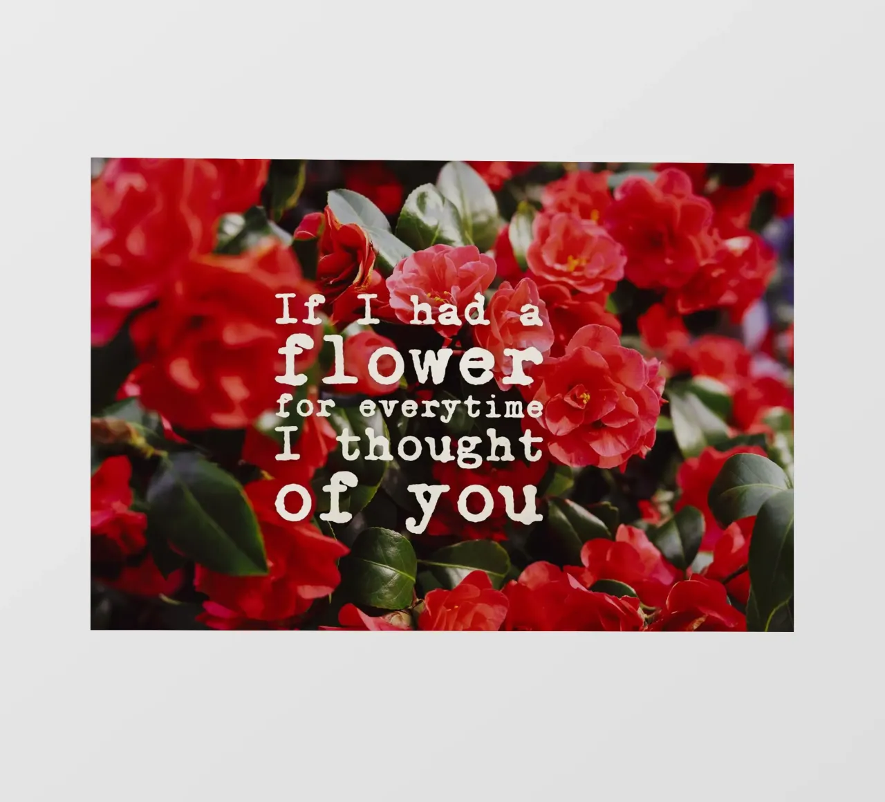 If I had a flower for everytime i though of you lámina retroiluminada de pierosvisuals