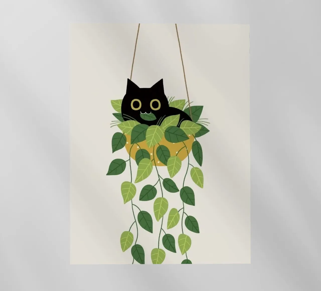 black cat lie on vase pellicola backlit da Fesi