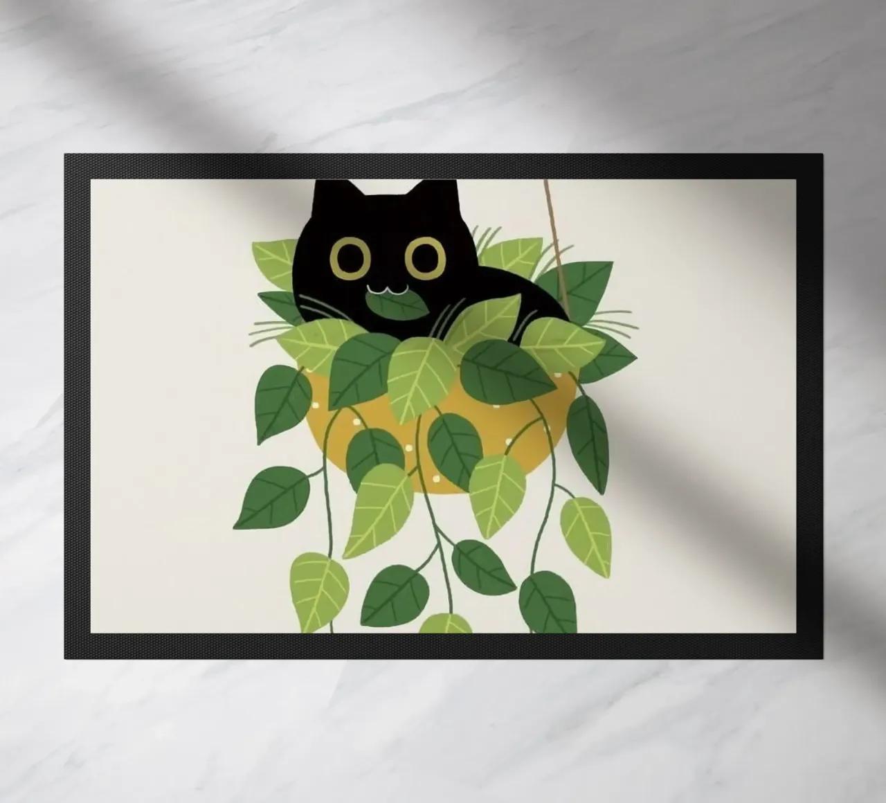 black cat lie on vase zerbino da Fesi