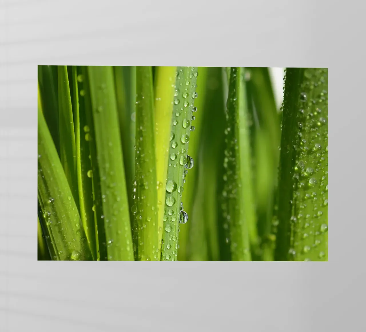 Wassertropfen Backlit Folie von Atteloi