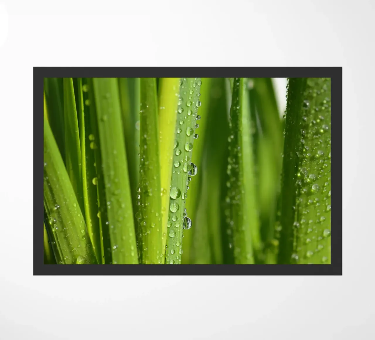 Wassertropfen Fußmatte von Atteloi