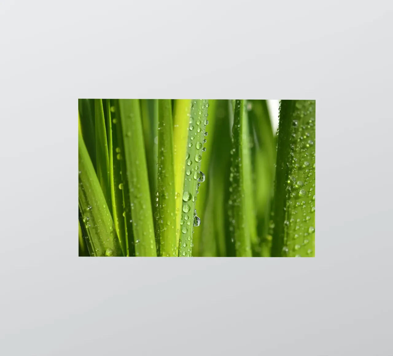 Drops of water sticker by Atteloi