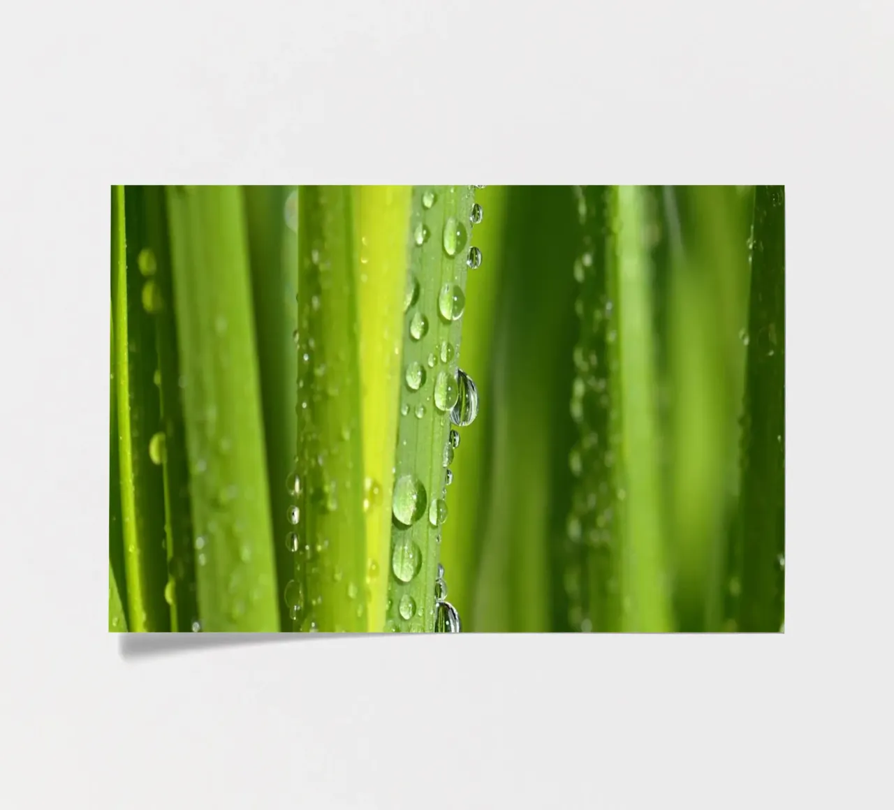 Gocce d'acqua foglio adesivo da Atteloi