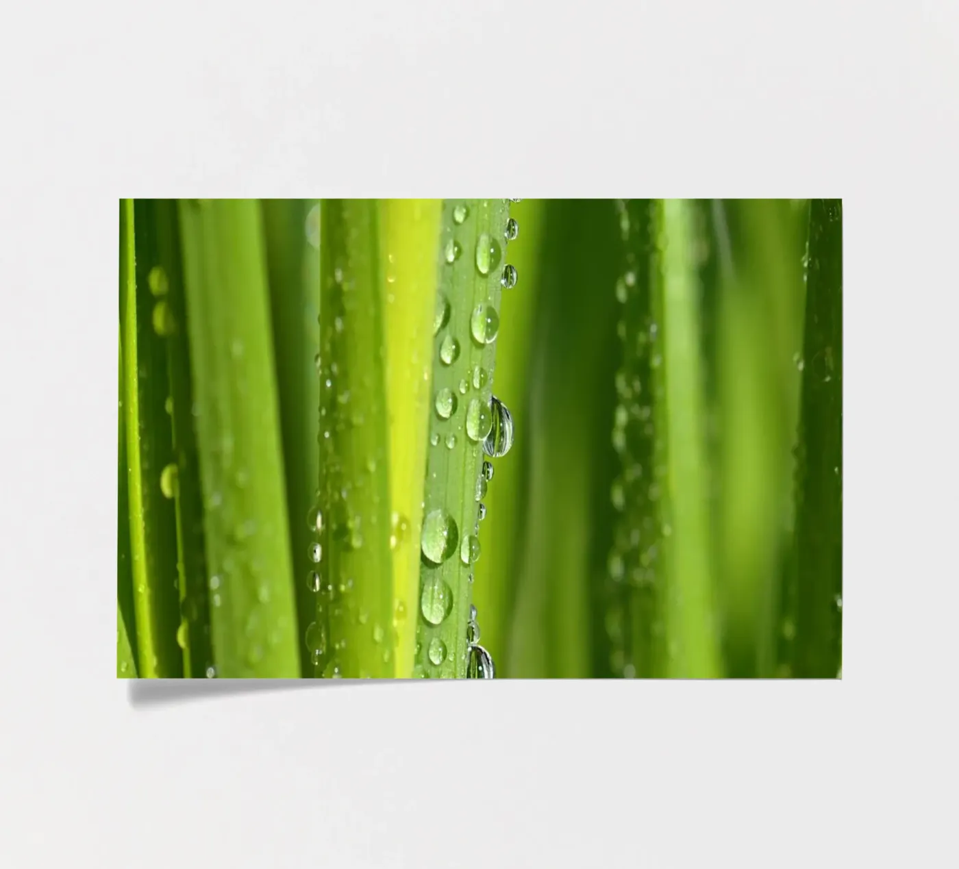 Drops of water Stickerbogen von Atteloi