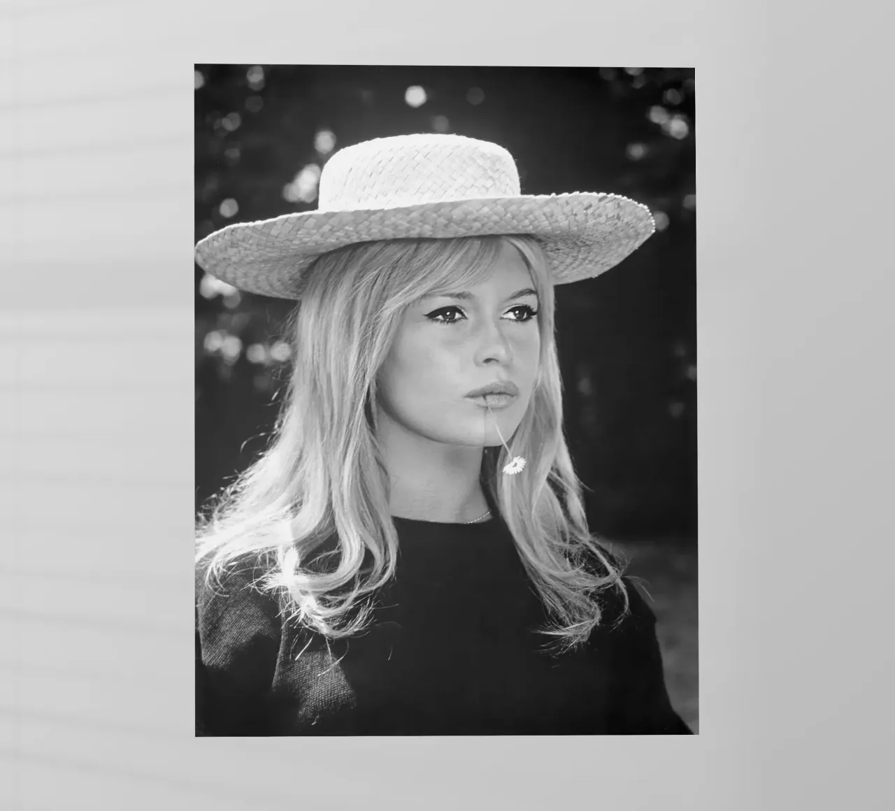 Bardot in Un affare molto privato, 1961 pellicola backlit da vintgeseyn