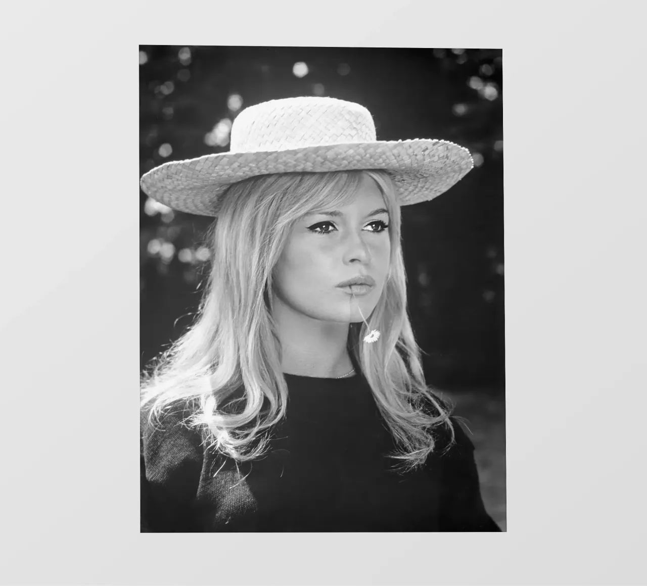 Bardot in Un affare molto privato, 1961 pellicola backlit da vintgeseyn