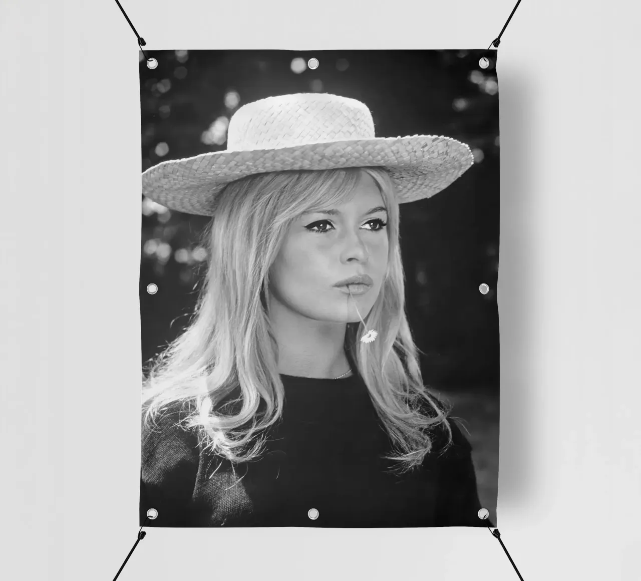 Bardot in Un affare molto privato, 1961 telo in pvc da vintgeseyn