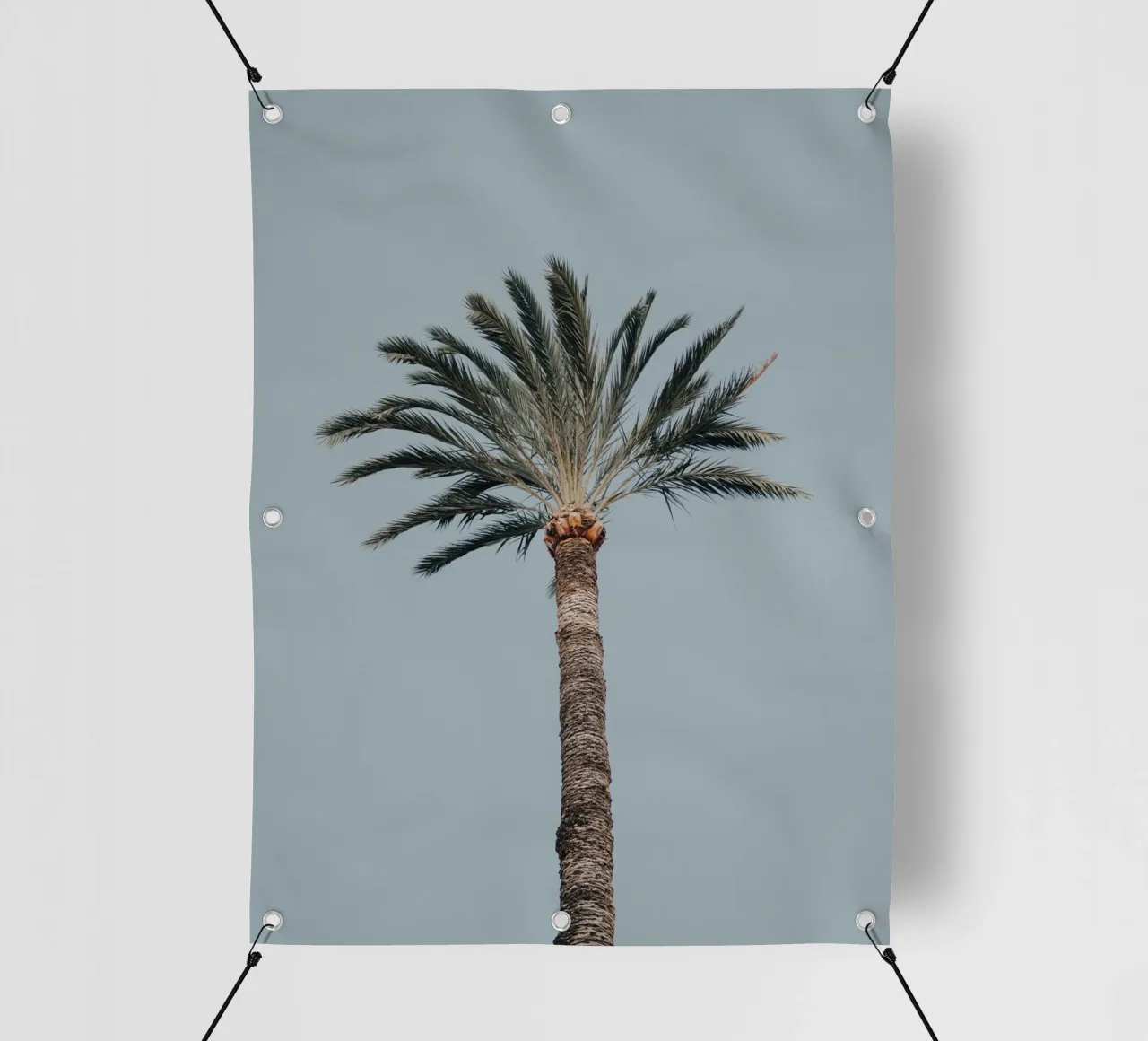 palm in sky telo in pvc da feny
