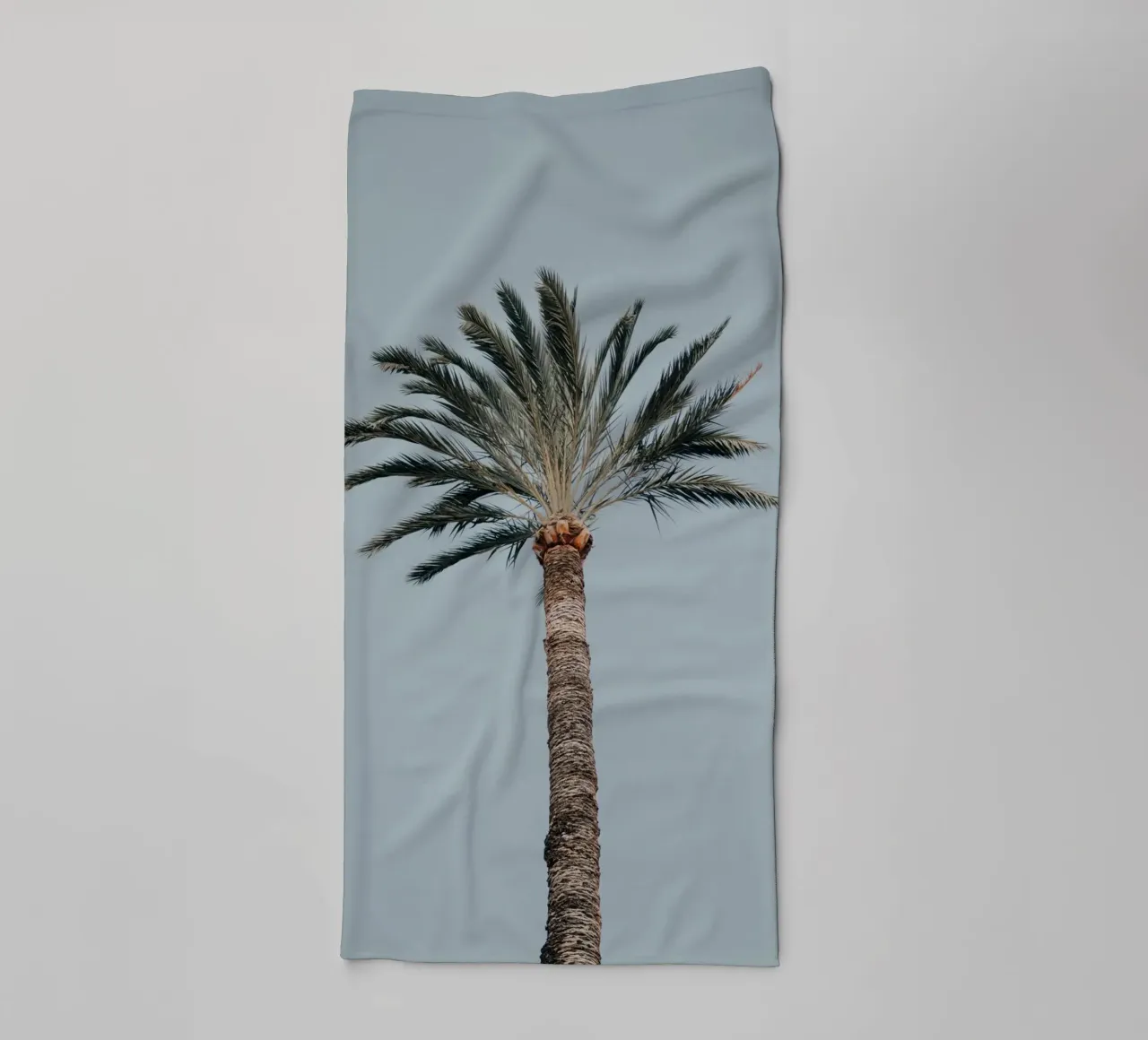 palm in sky asciugamano da bagno da feny