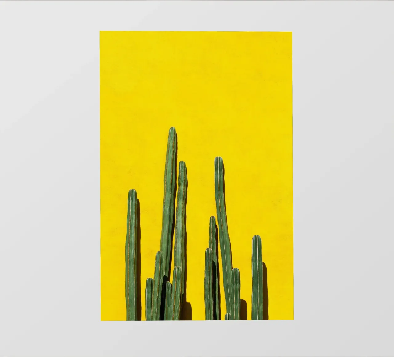 tree in yellow shade telo in pvc da andern