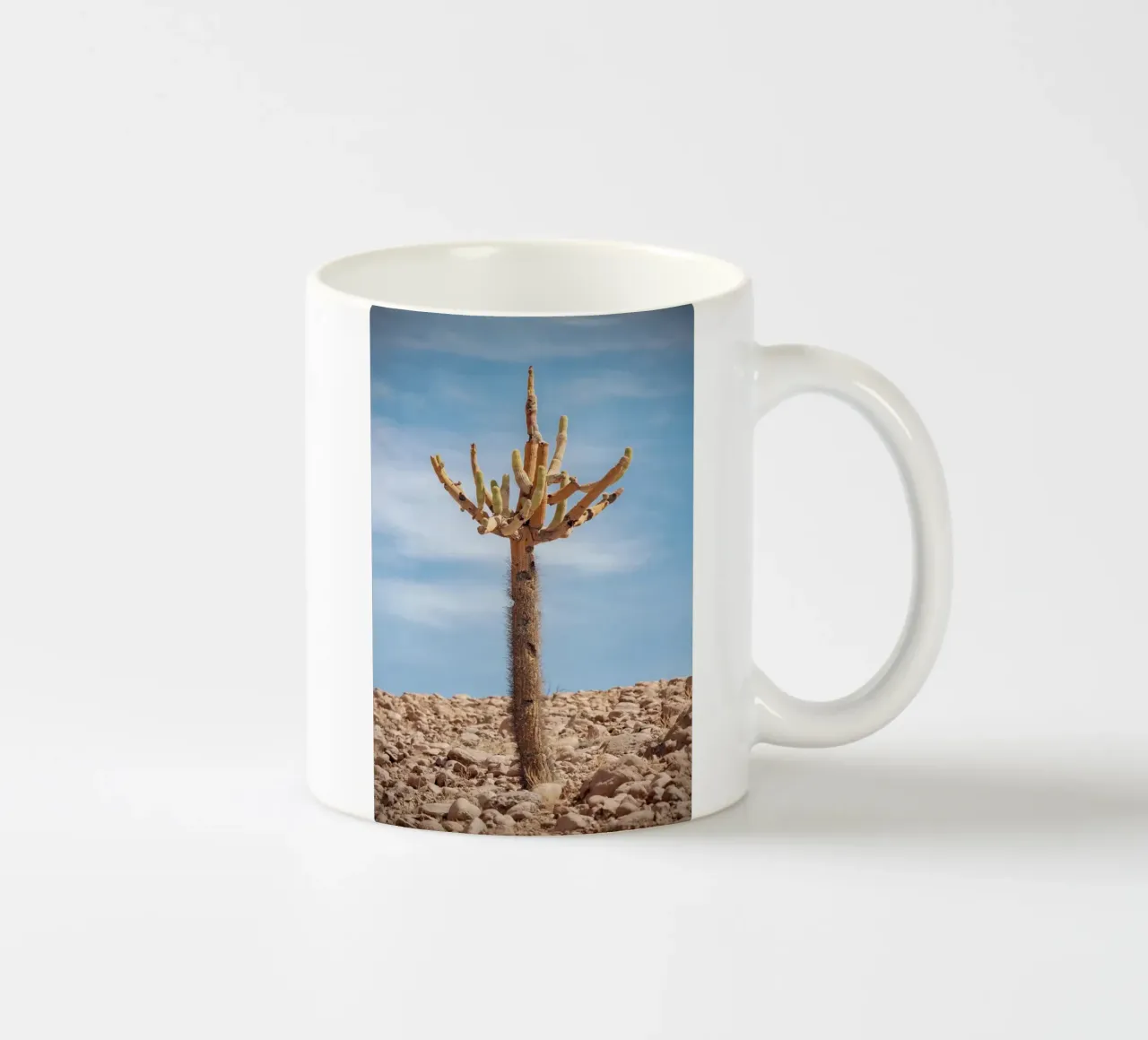 cactus in sky tazza in ceramica da andern