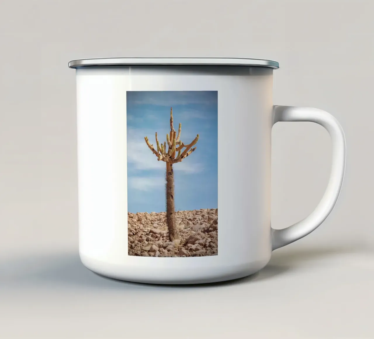 cactus in sky tazza in smalto da andern