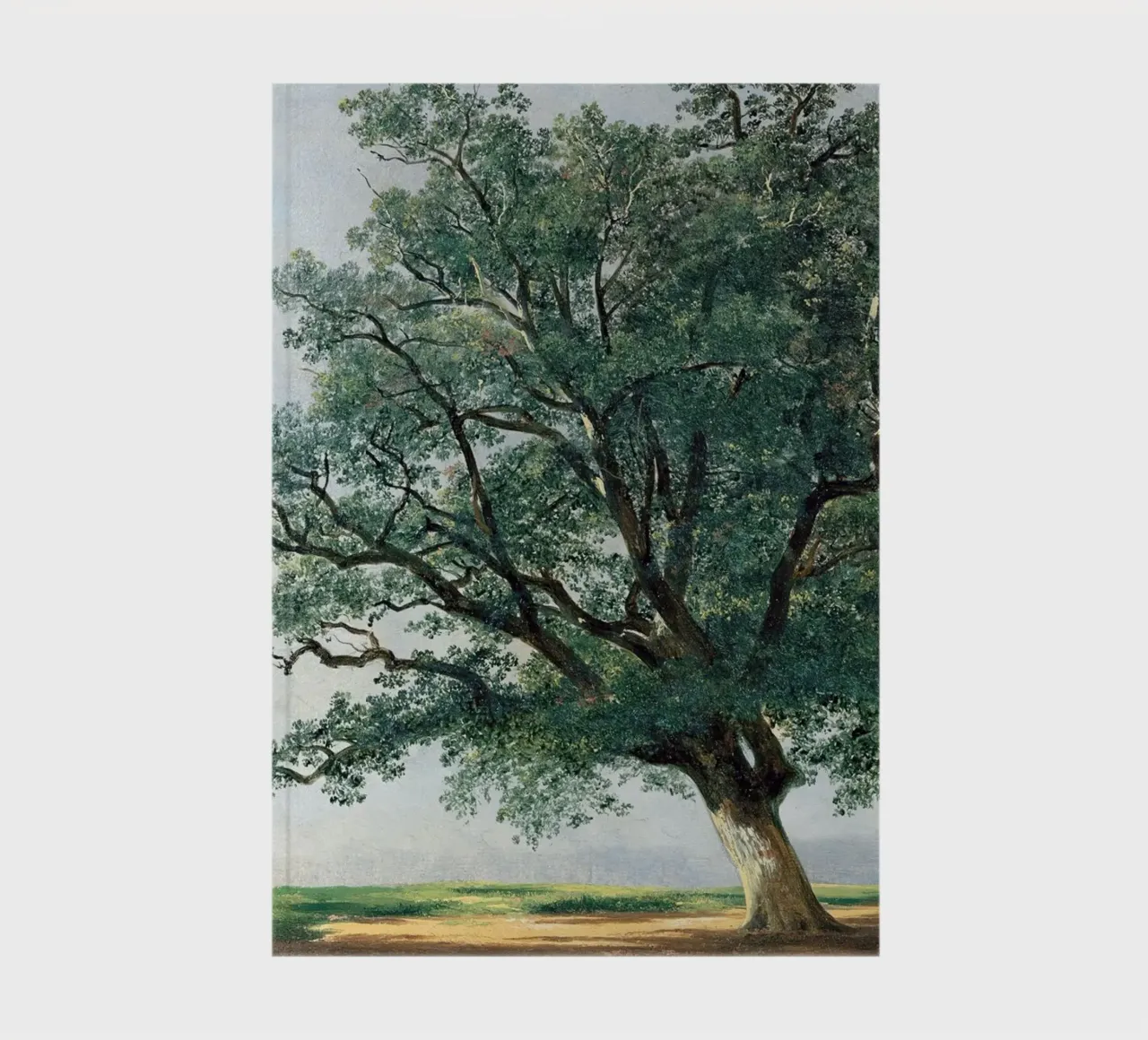 Four Great Trees - Alexandre Calame notebook by apoloprints