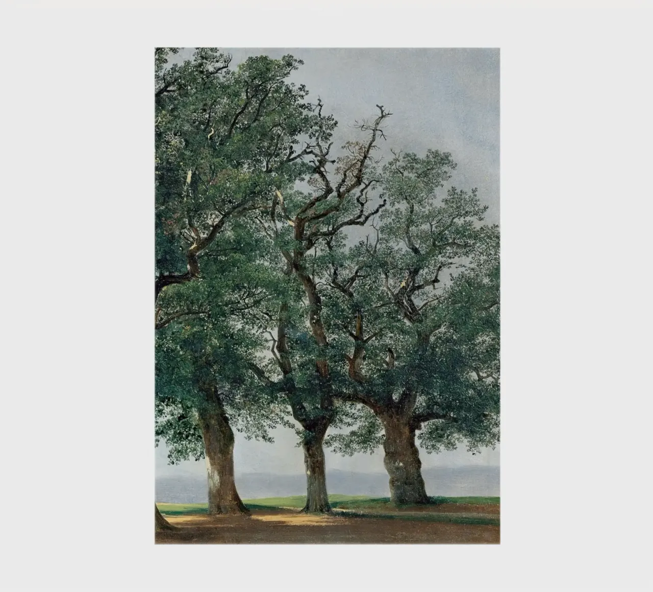 Four Great Trees - Alexandre Calame notebook by apoloprints