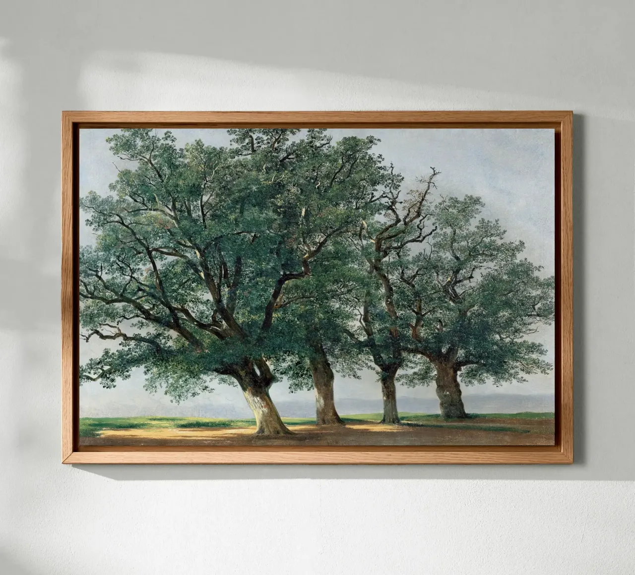 Four Great Trees - Alexandre Calame alluminio dibond da apoloprints