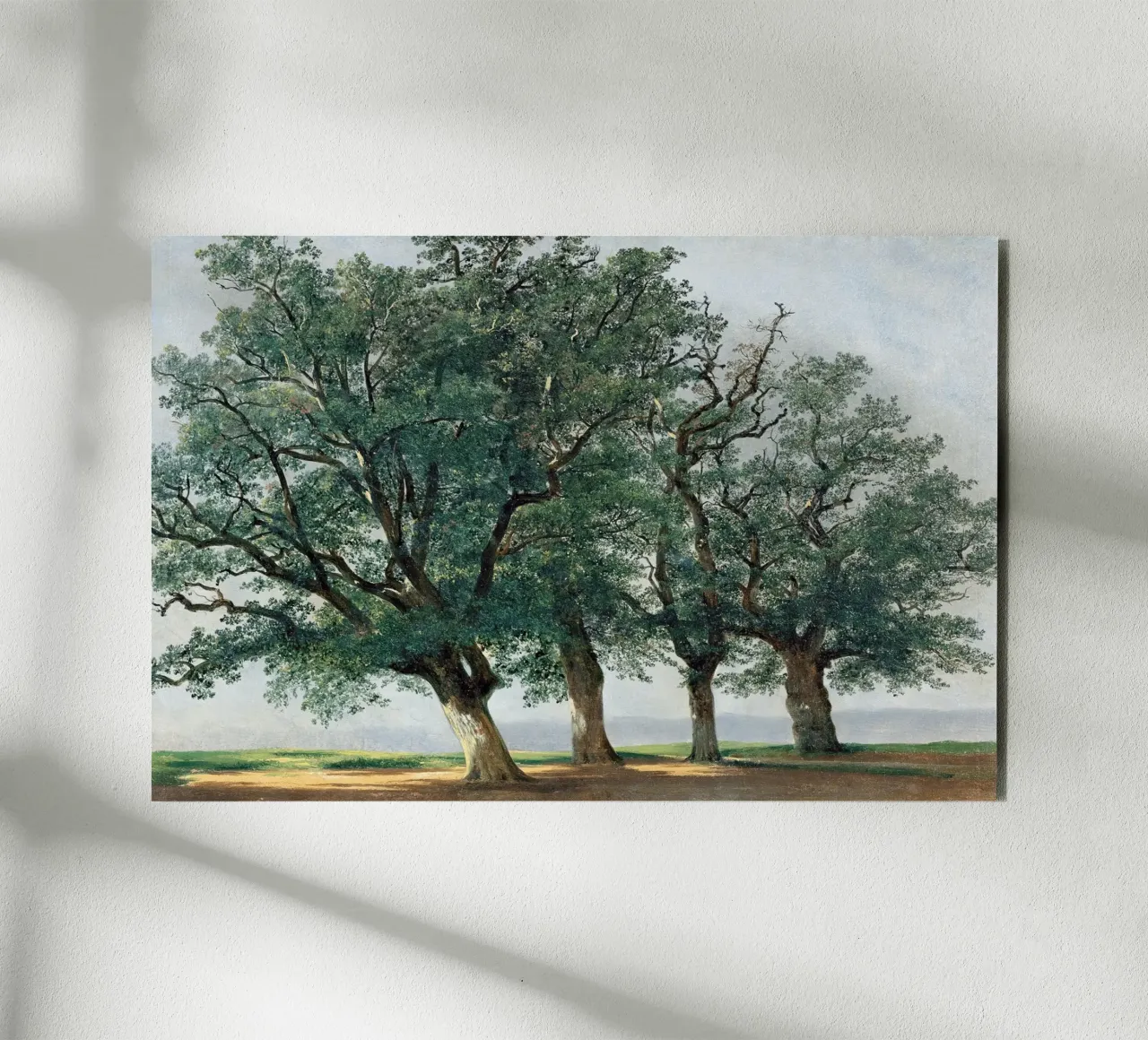 Four Great Trees - Alexandre Calame alluminio dibond da apoloprints