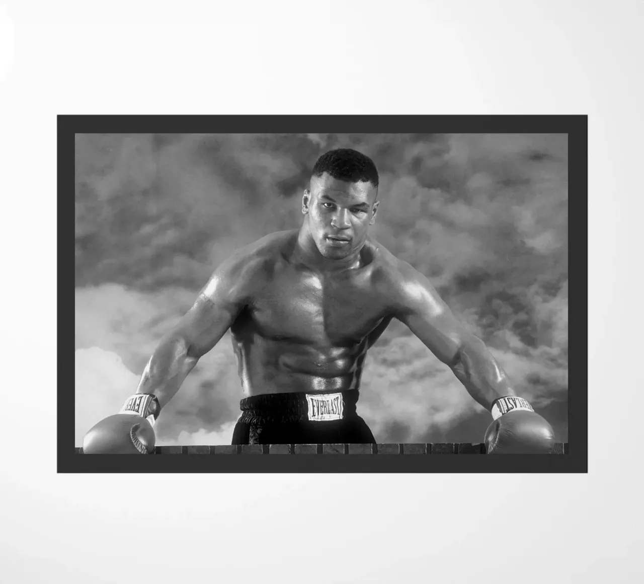 Mike Tyson zerbino da Coreyalbert