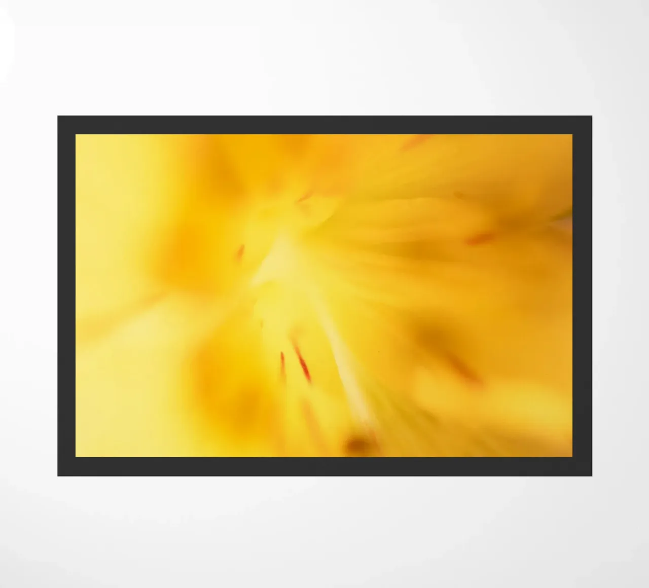 Herfstdagen #2 deurmat van rafael campezato