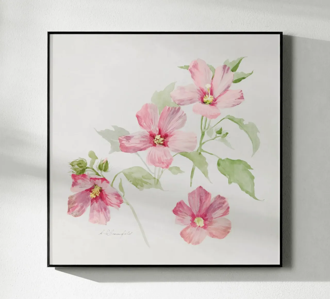 Study of Mallow plexiglass da vintageshop