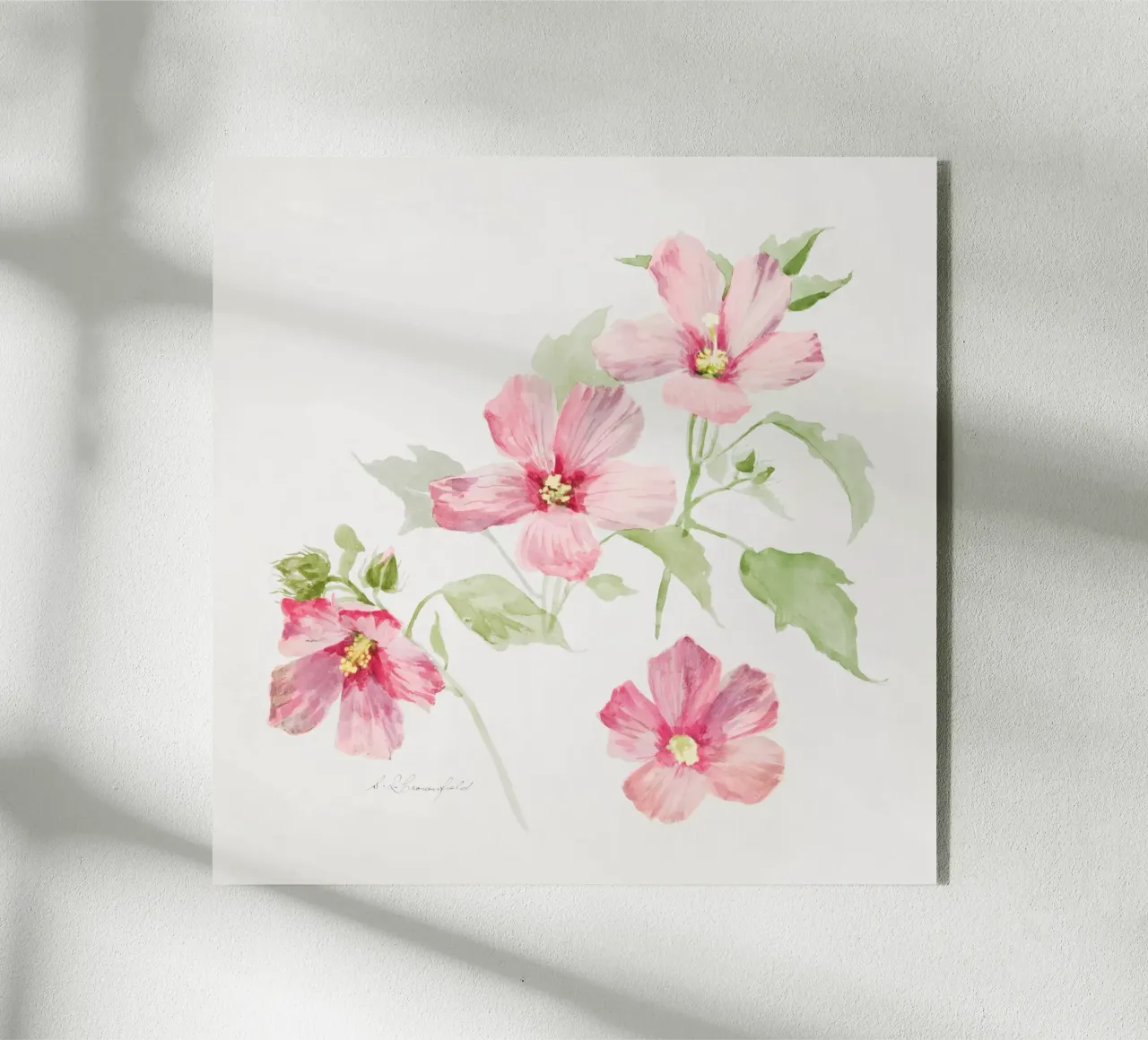 Study of Mallow plexiglass da vintageshop