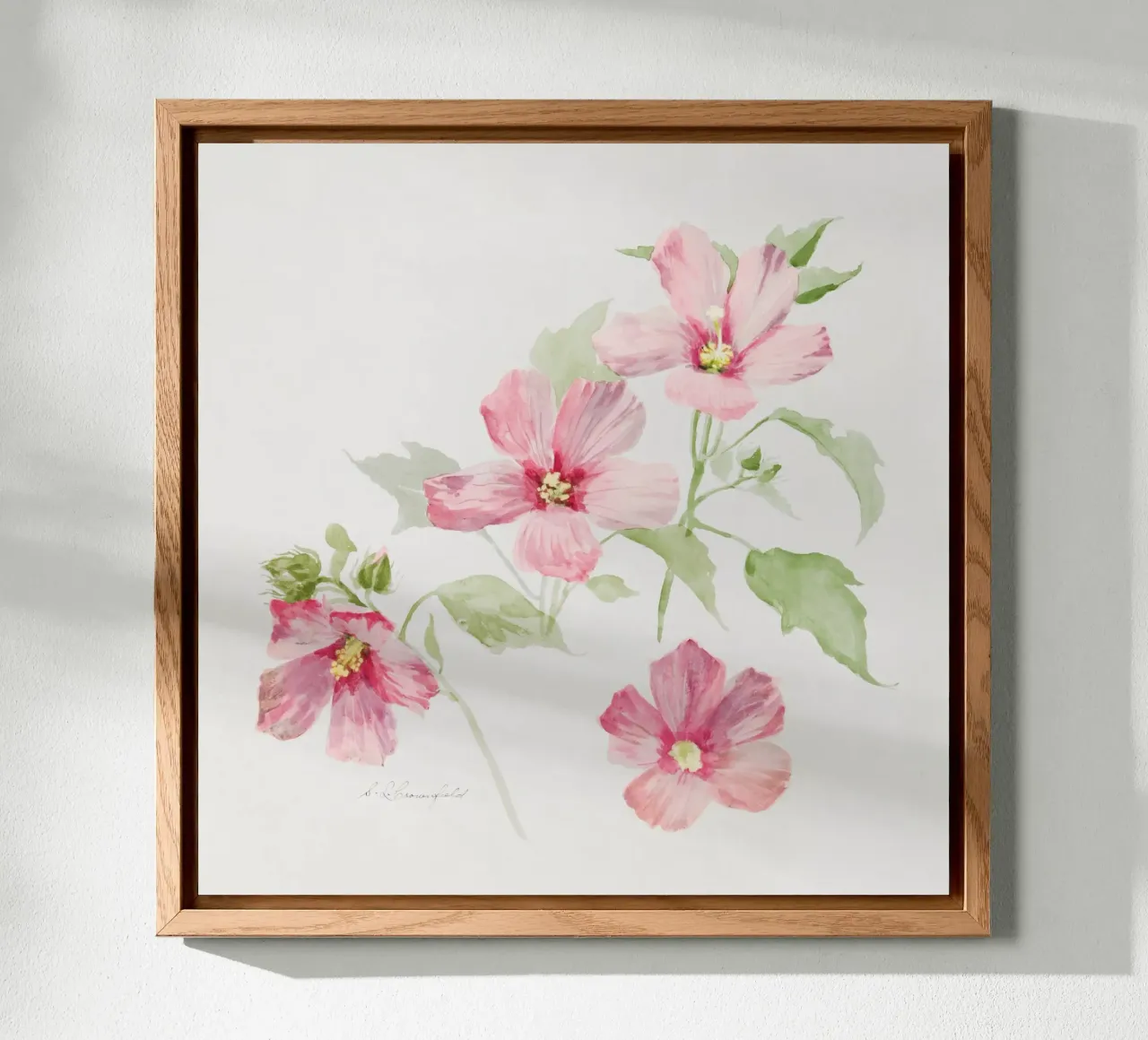 Study of Mallow alluminio dibond da vintageshop