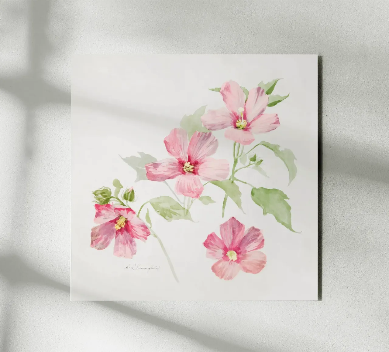 Study of Mallow alluminio dibond da vintageshop