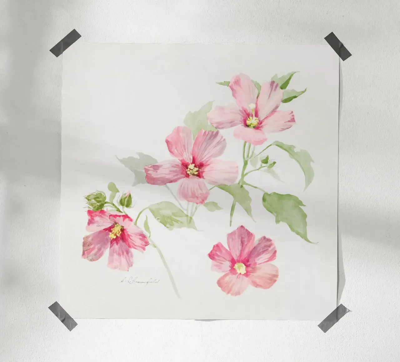 Study of Mallow poster da vintageshop