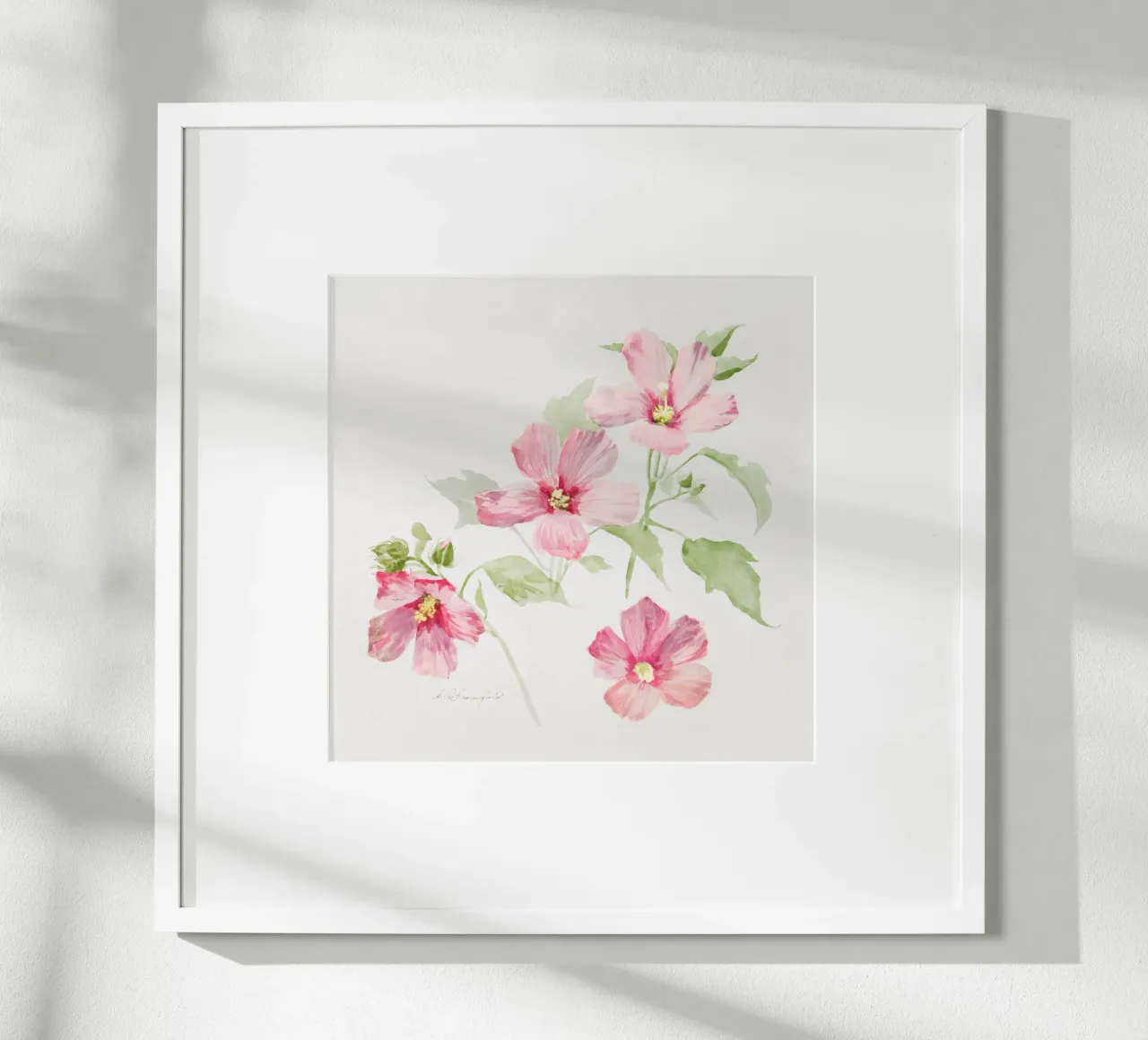 Study of Mallow poster da vintageshop
