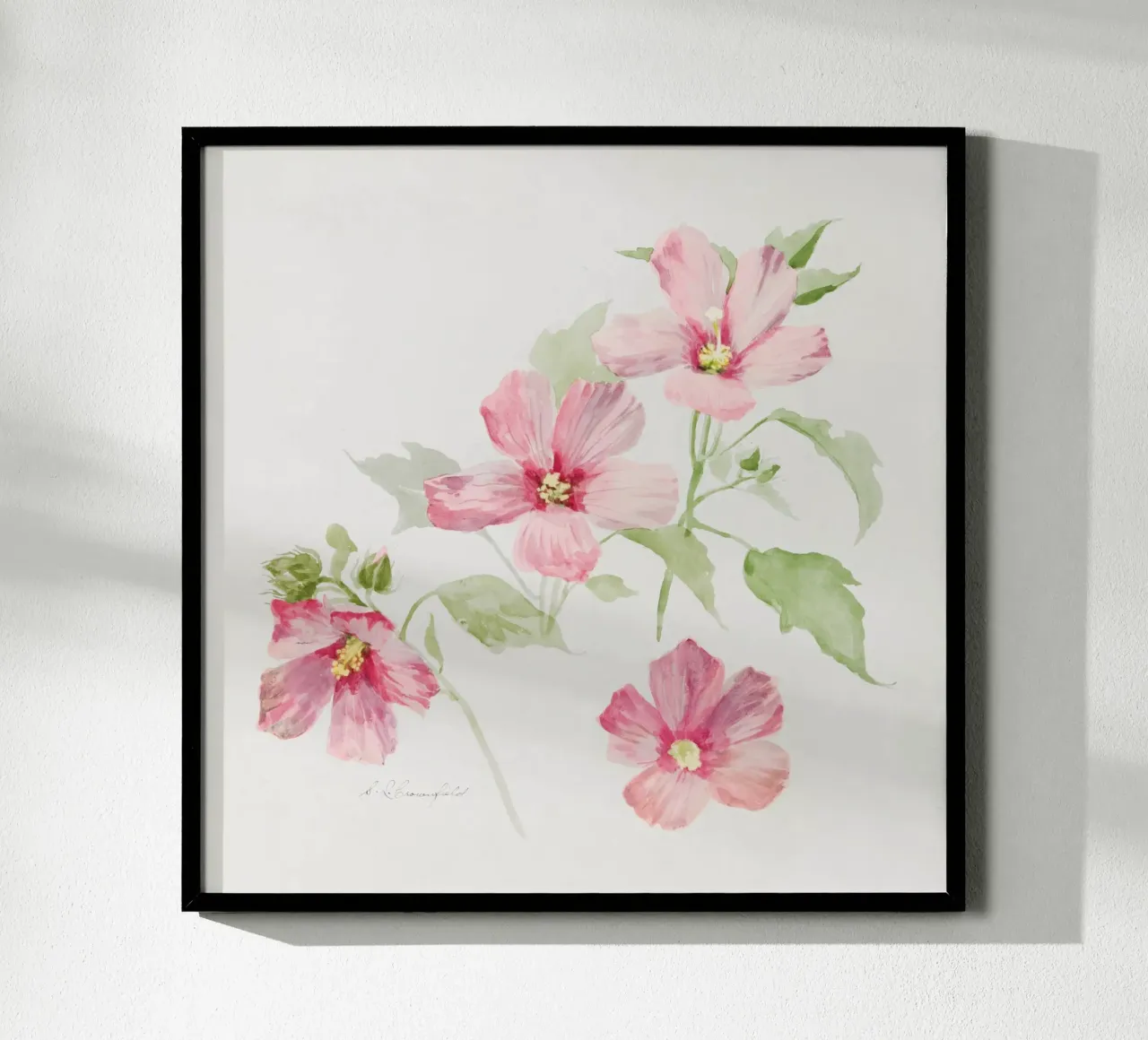 Study of Mallow poster da vintageshop