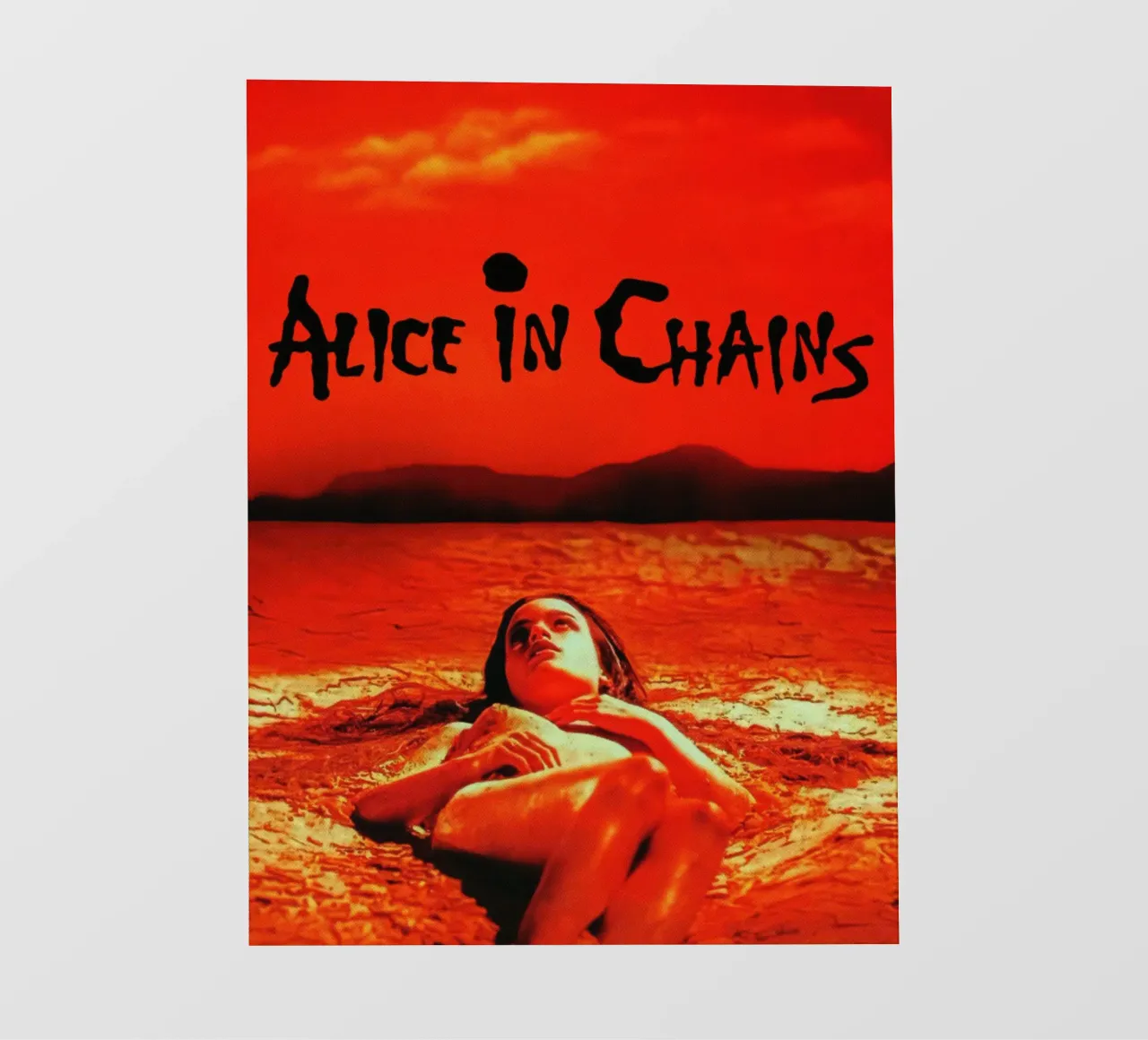 Alice In Chains Dirt telo in pvc da Torres 9