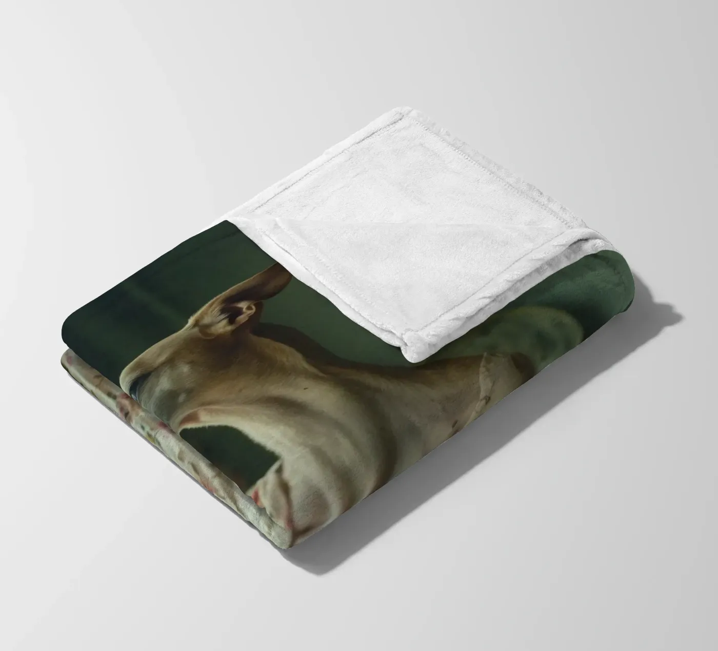 Léa Fleecedecke von Affiches Chien Originales – Dogland