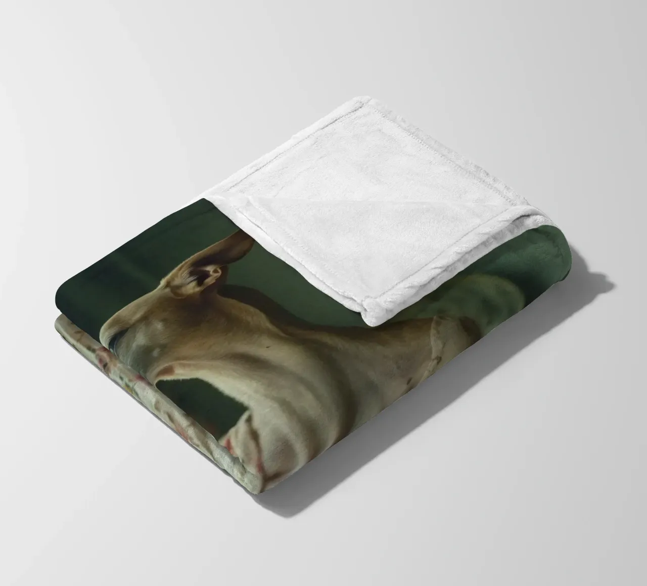 Léa Fleecedecke von Affiches Chien Originales – Dogland