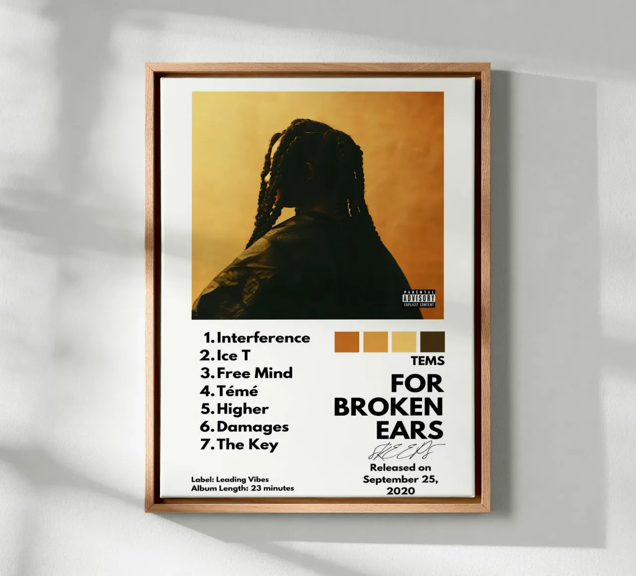 Tems For Broken Ears tela da Roronoa7