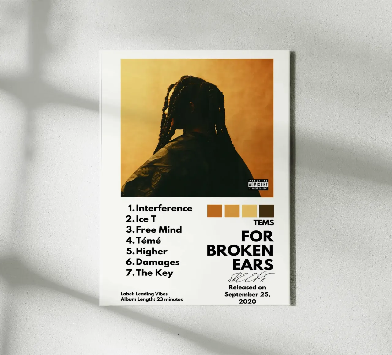 Tems For Broken Ears tela da Roronoa7