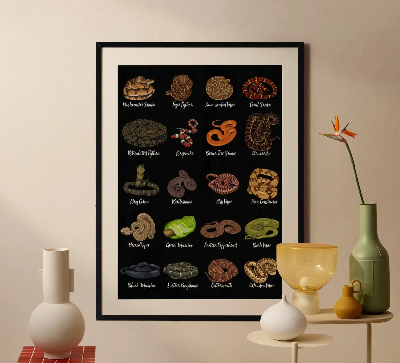 Snake species of the world in a strong overview hahnemühle by pixelbull - medieval art and more