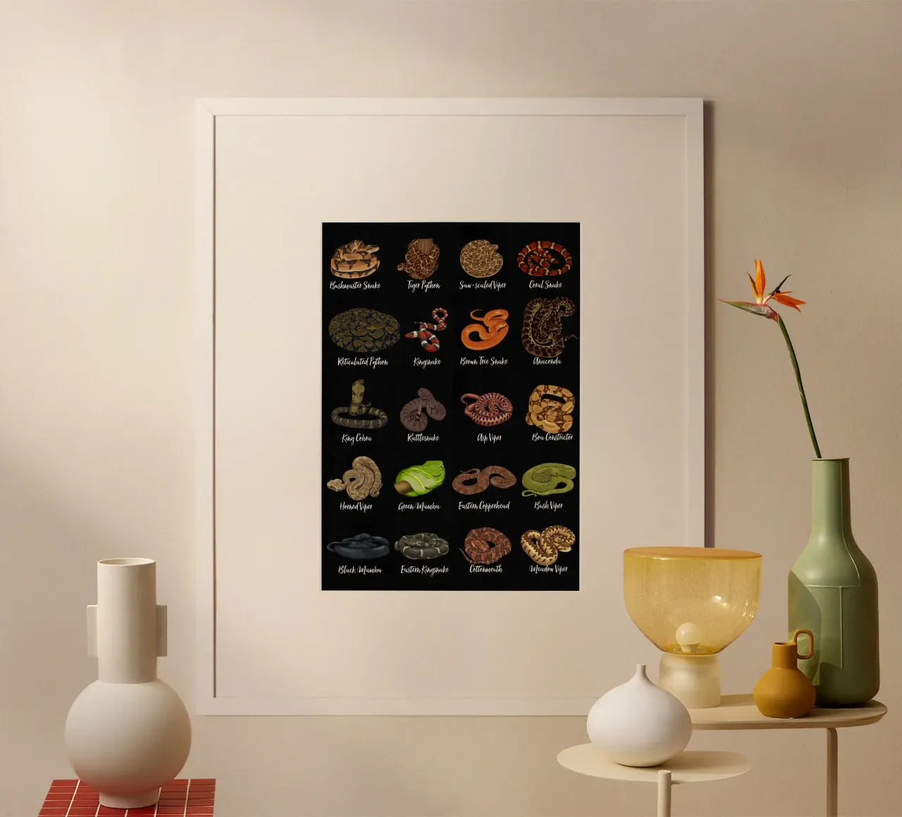 Snake species of the world in a strong overview hahnemühle by pixelbull - medieval art and more