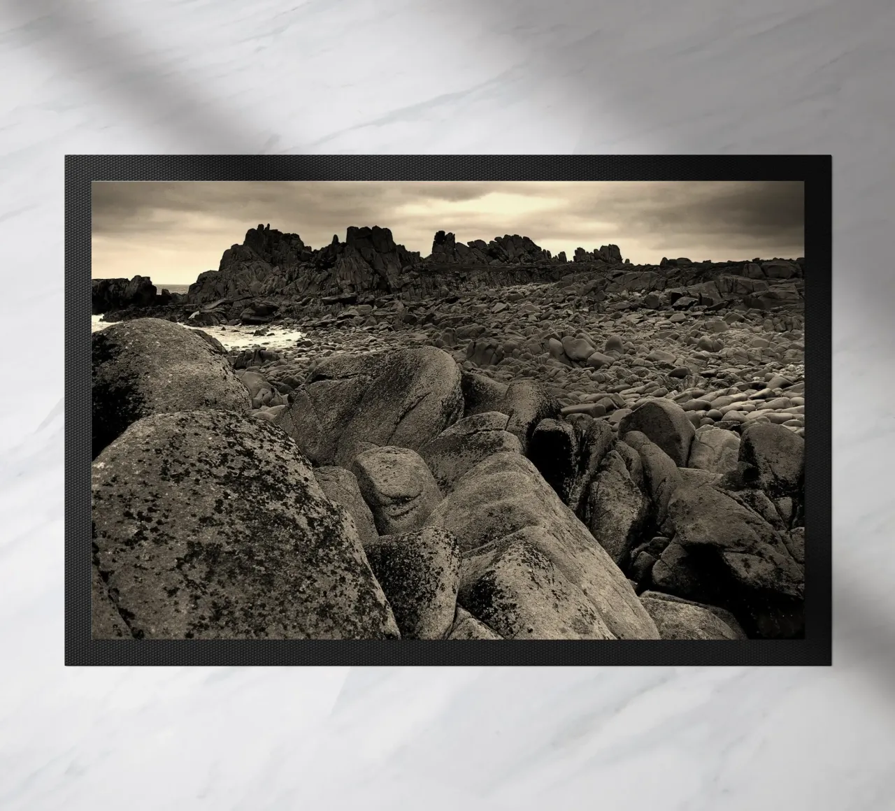 BW91. zerbino da Thierry vobmann photography