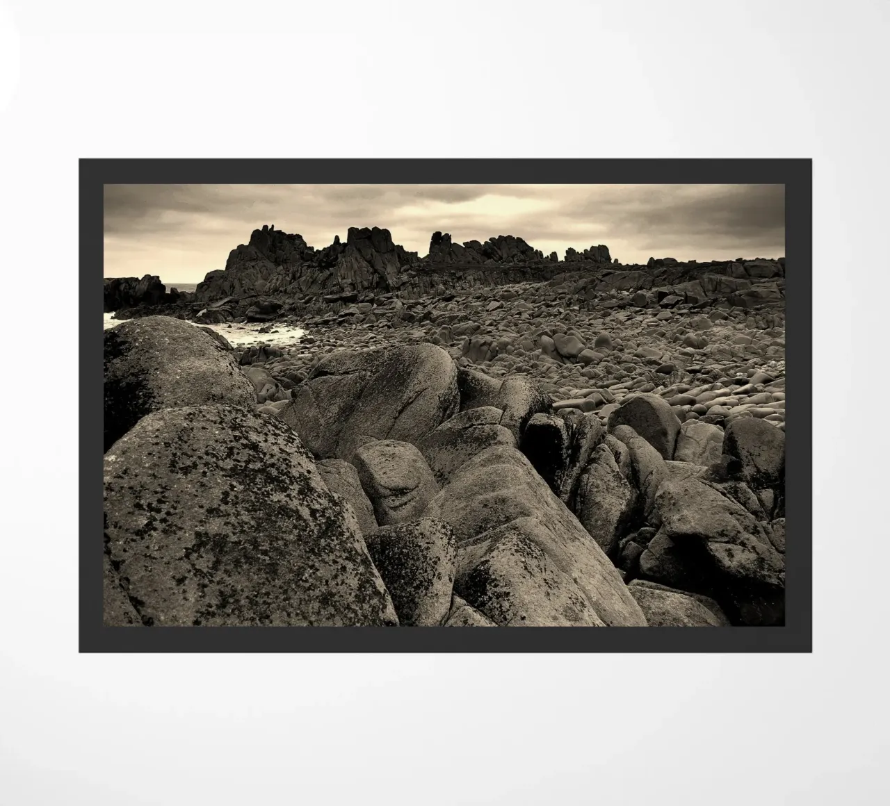 BW91. zerbino da Thierry vobmann photography