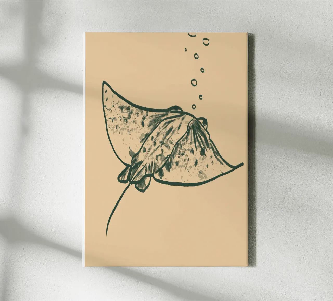 Rochen tela da Studio Dolci