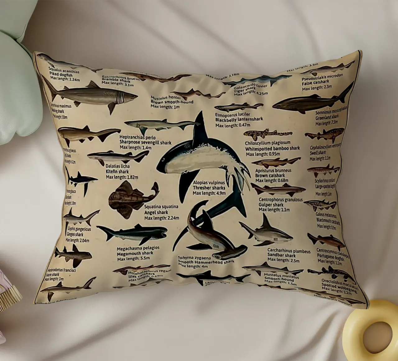 L'anatomia del caffè cuscino da janna shop