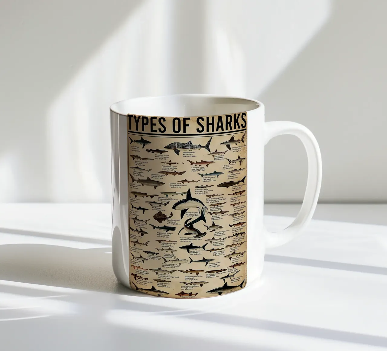 L'anatomia del caffè tazza in ceramica da janna shop