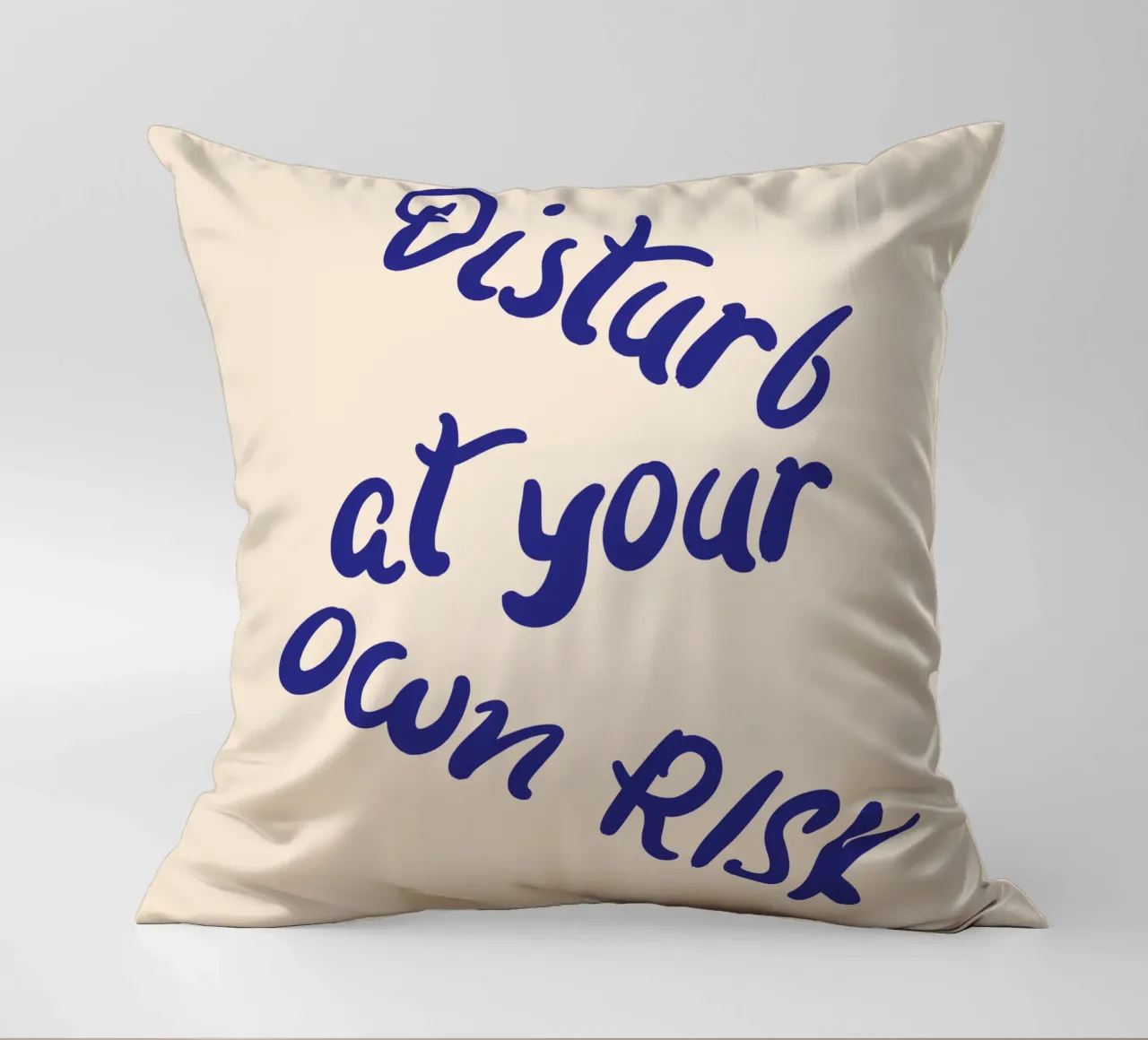 Disturb at your own risk cuscino da blisstype