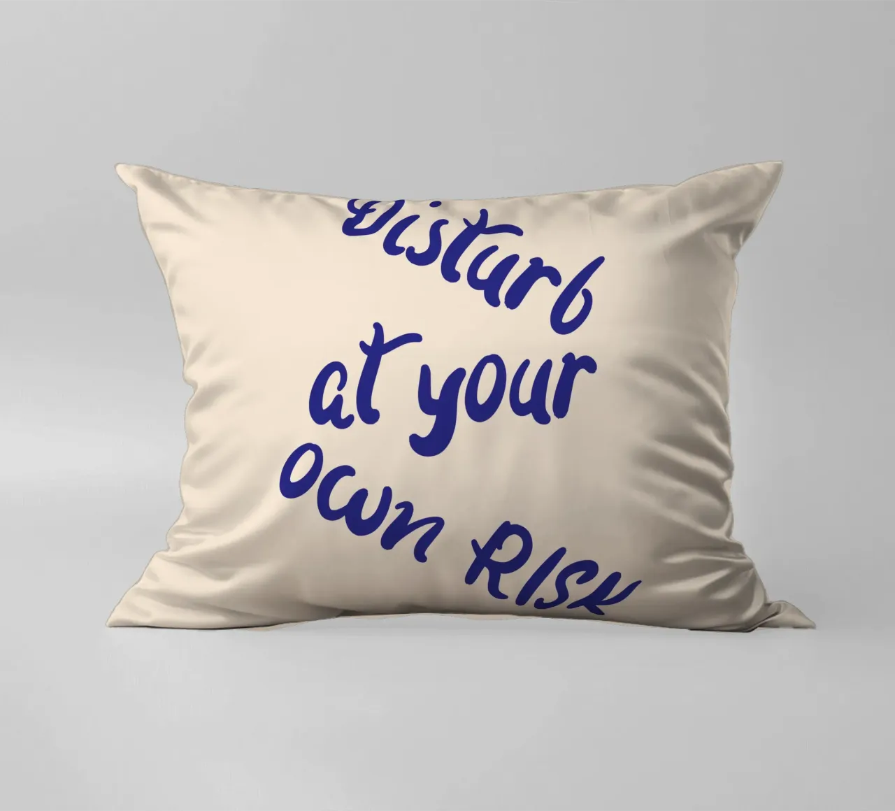 Disturb at your own risk cuscino da blisstype