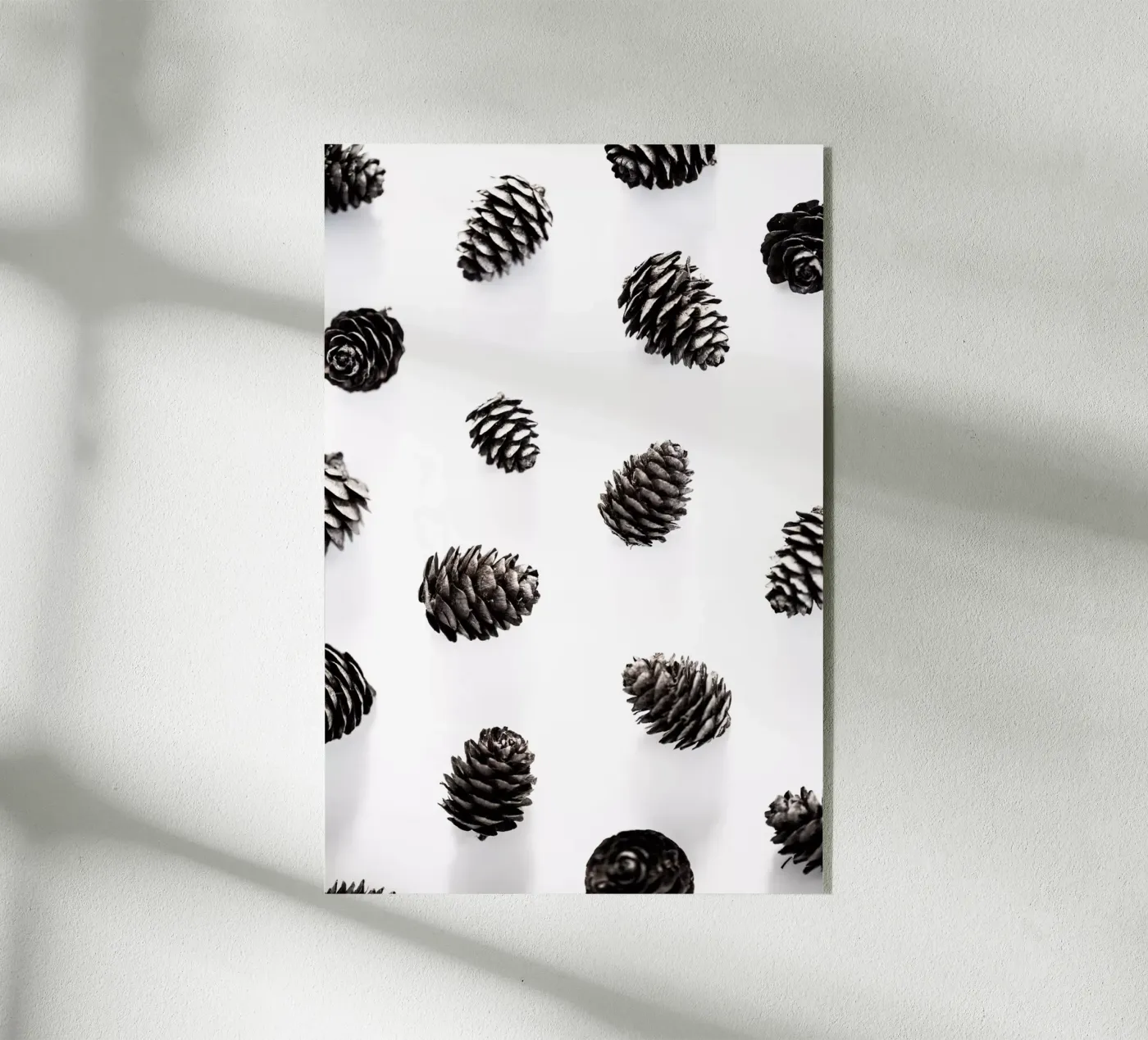 Pine Cones 2 plexiglass da Mareike Böhmer Photography