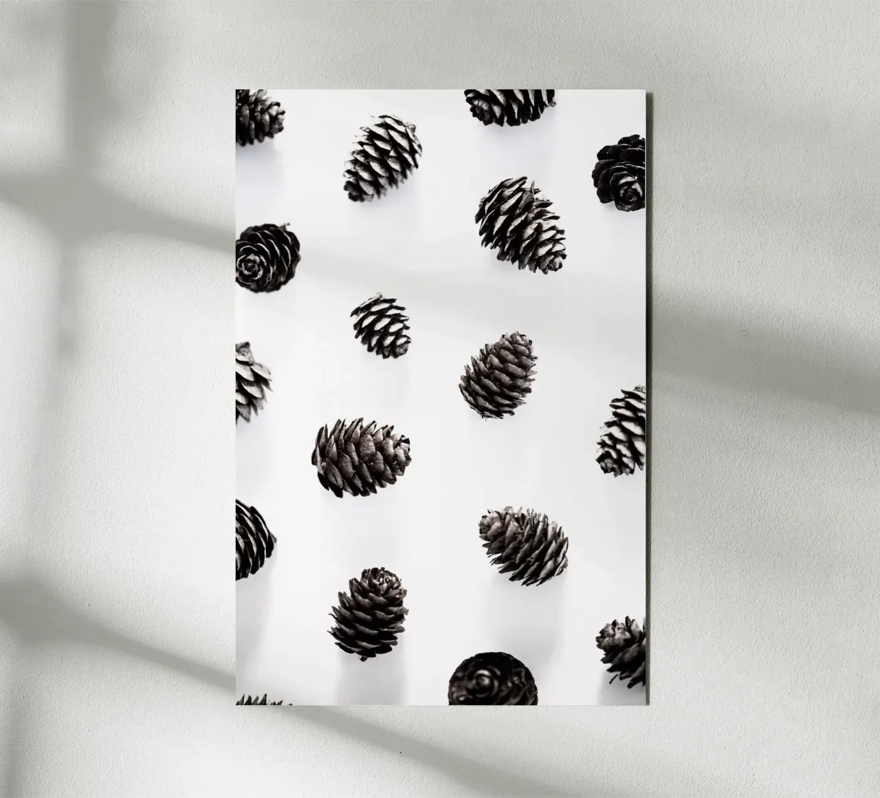 Pine Cones 2 alluminio dibond da Mareike Böhmer Photography