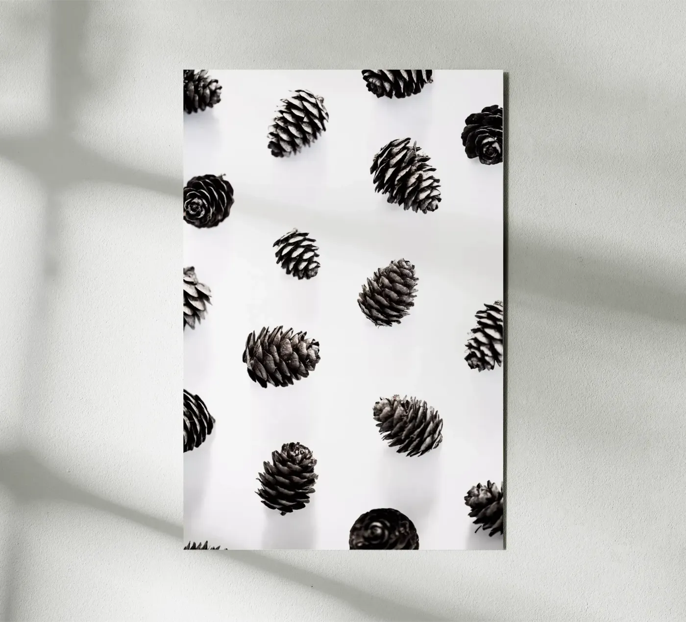 Pine Cones 2 panneau forex de Mareike Böhmer Photography
