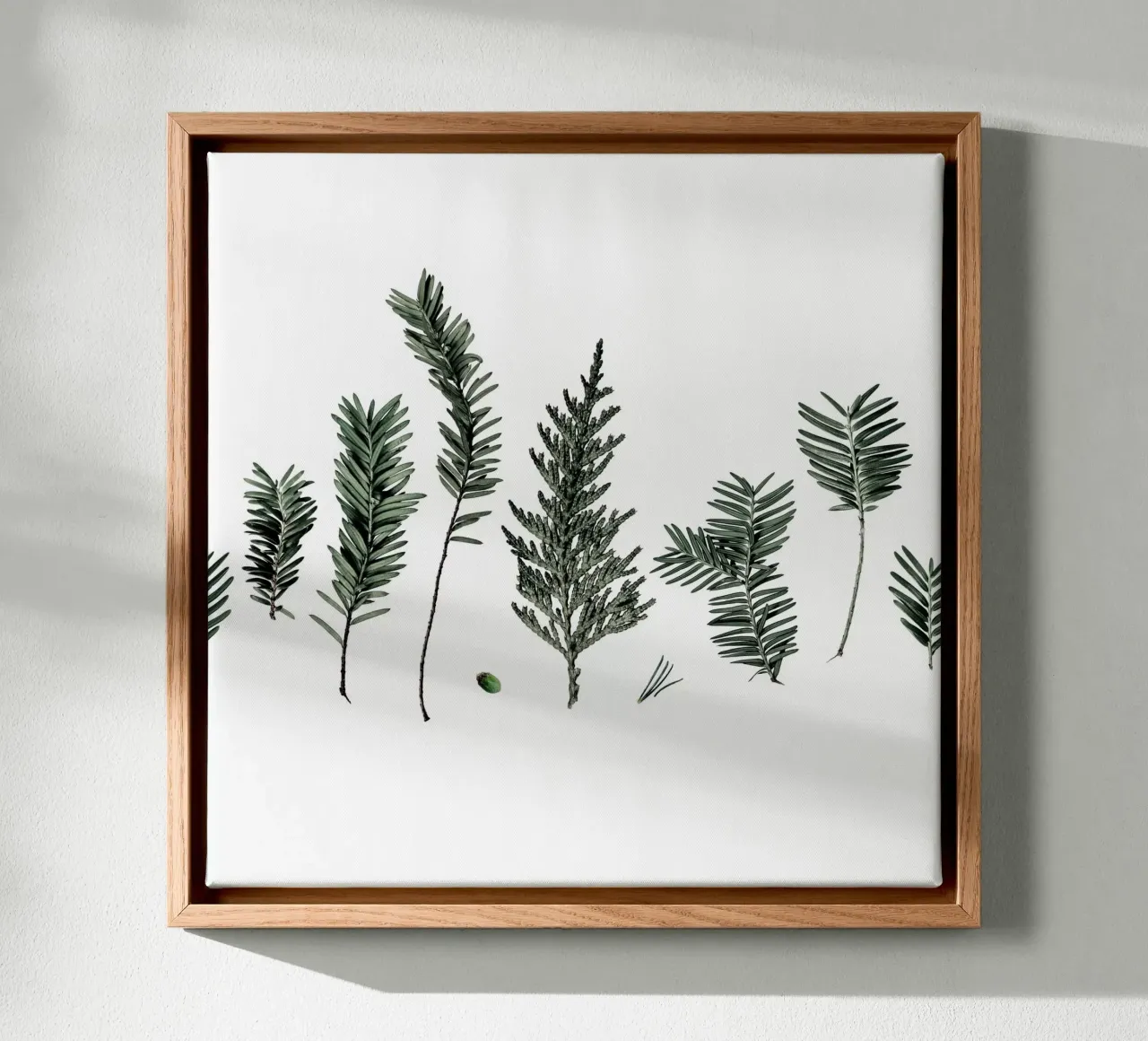 Small Fir Branches tela con Cornice a cassetta da Mareike Böhmer Photography