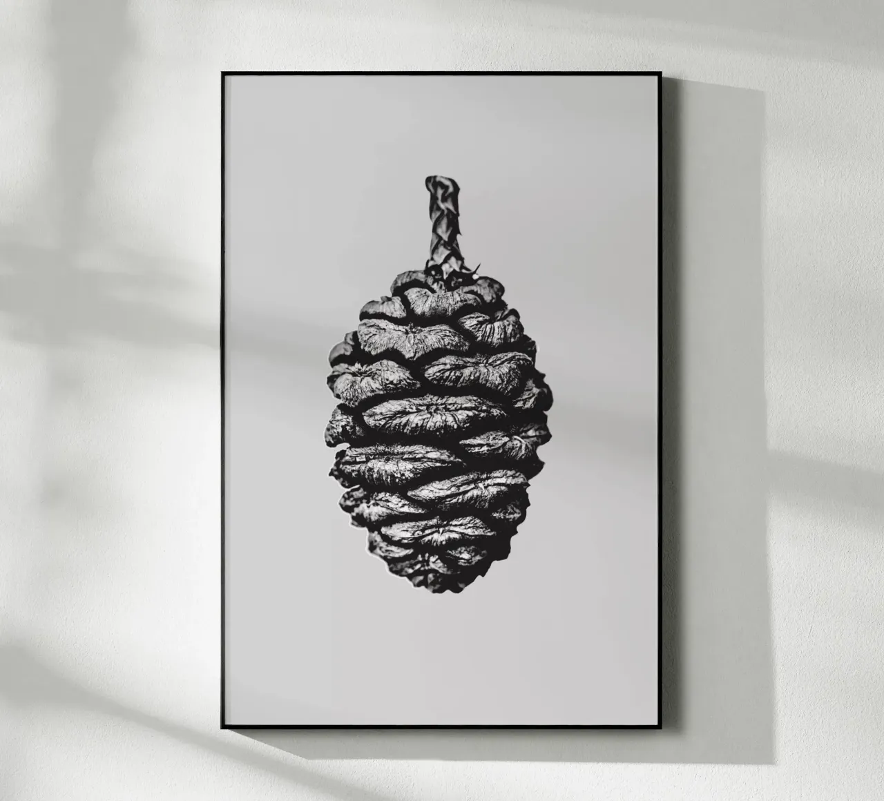 Big Pine Cone plexiglass da Mareike Böhmer Photography